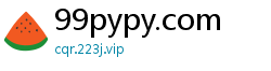 99pypy.com
